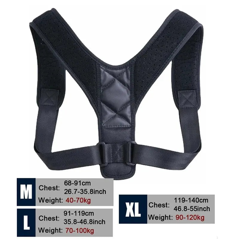 AlignEase Posture Support Belt